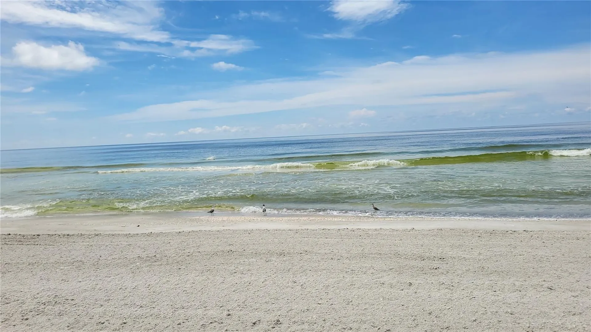 1000 Longboat Club Road Longboat Key FL 34228