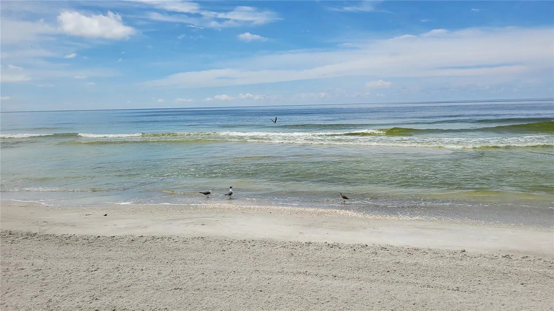 1000 Longboat Club Road Longboat Key FL 34228