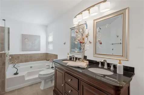1211 Timber Trace Drive Wesley Chapel FL 33543
