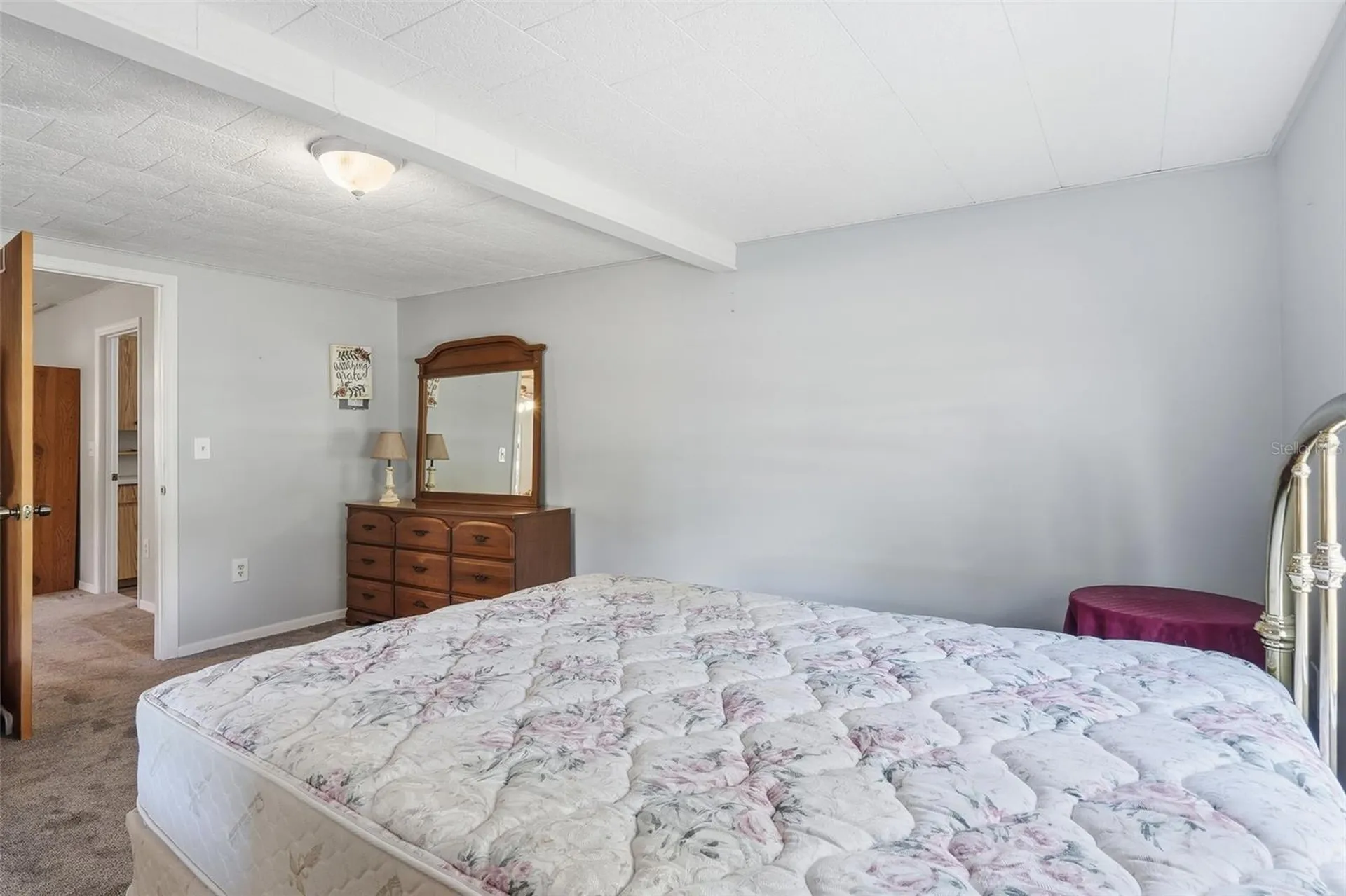 1289 Cr 436 Lake Panasoffkee FL 33538