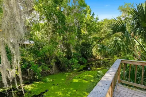 1289 Cr 436 Lake Panasoffkee FL 33538