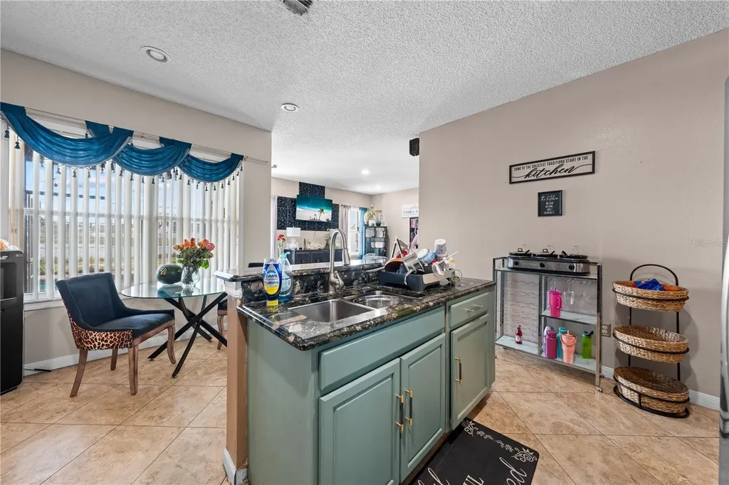 442 Tamarind Parke Lane Kissimmee FL 34758