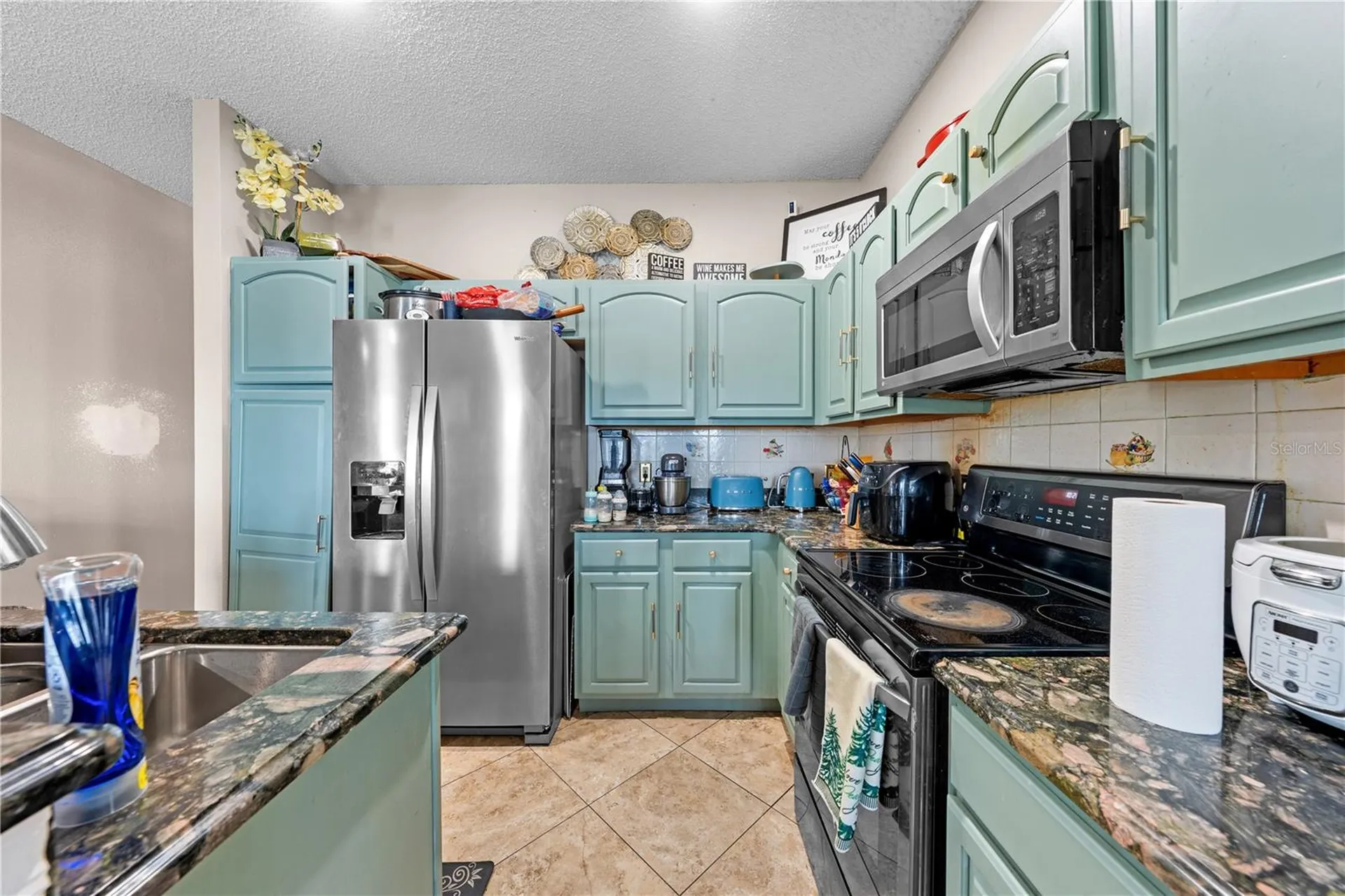 442 Tamarind Parke Lane Kissimmee FL 34758