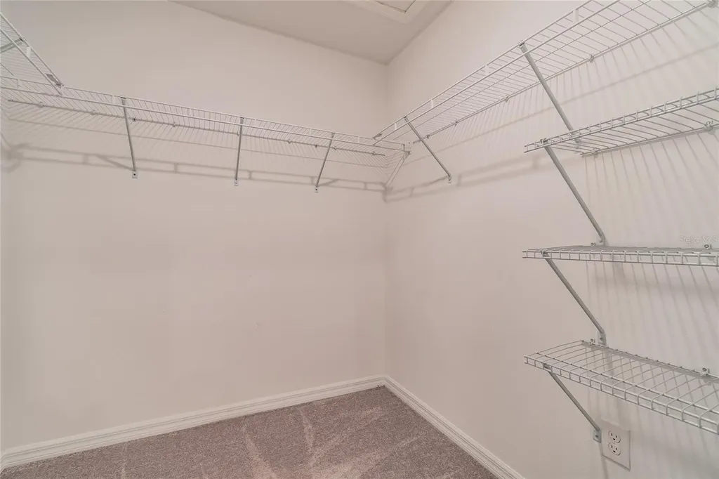 7221 Sweet Alyssum Court Tampa FL 33619
