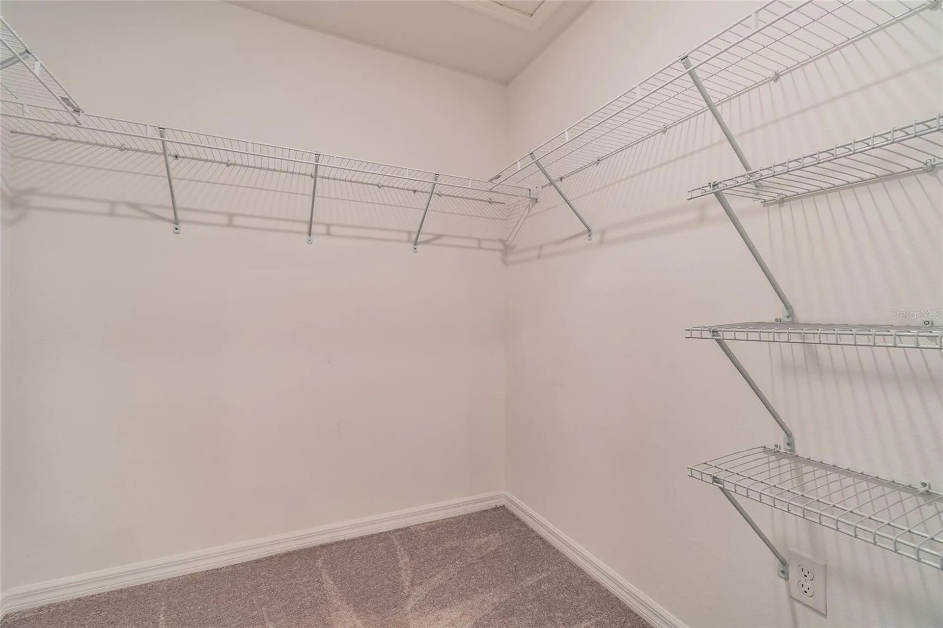 7221 Sweet Alyssum Court Tampa FL 33619