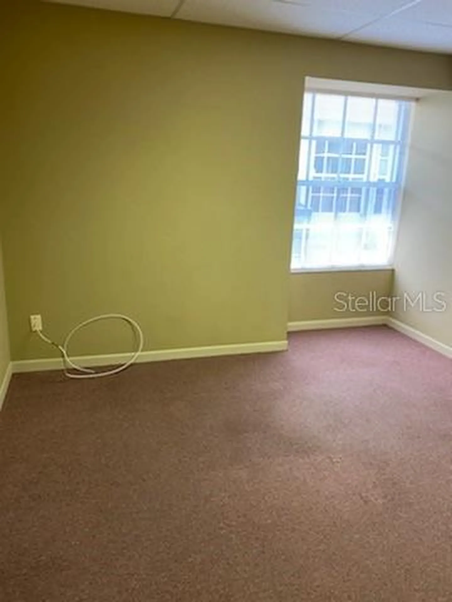 1531 Tamiami Trail S Venice FL 34285