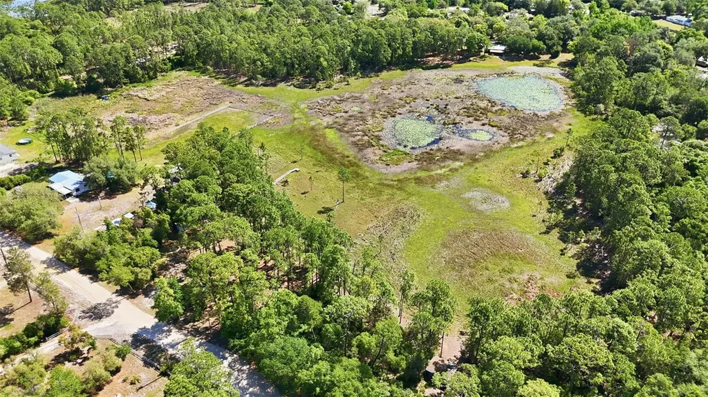 Tbd Holly Branch Road Eustis FL 32736
