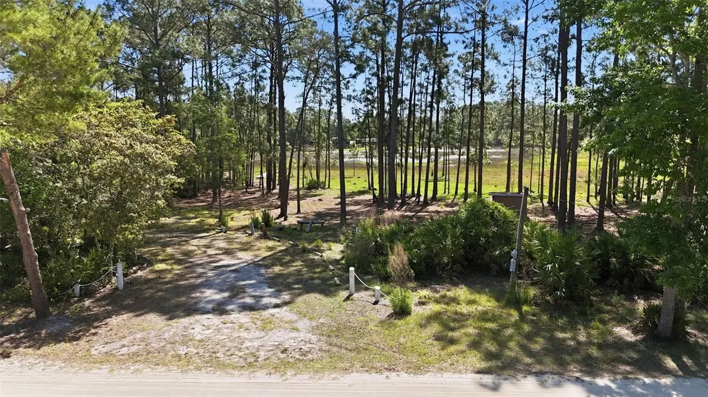 Tbd Holly Branch Road Eustis FL 32736