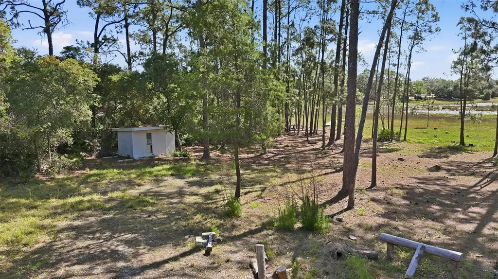 Tbd Holly Branch Road Eustis FL 32736