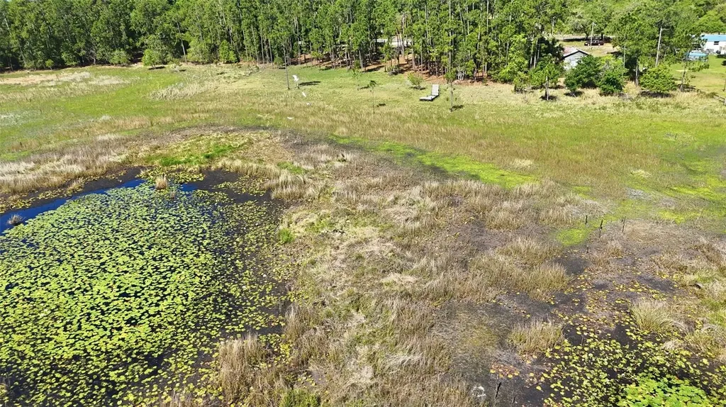 Tbd Holly Branch Road Eustis FL 32736