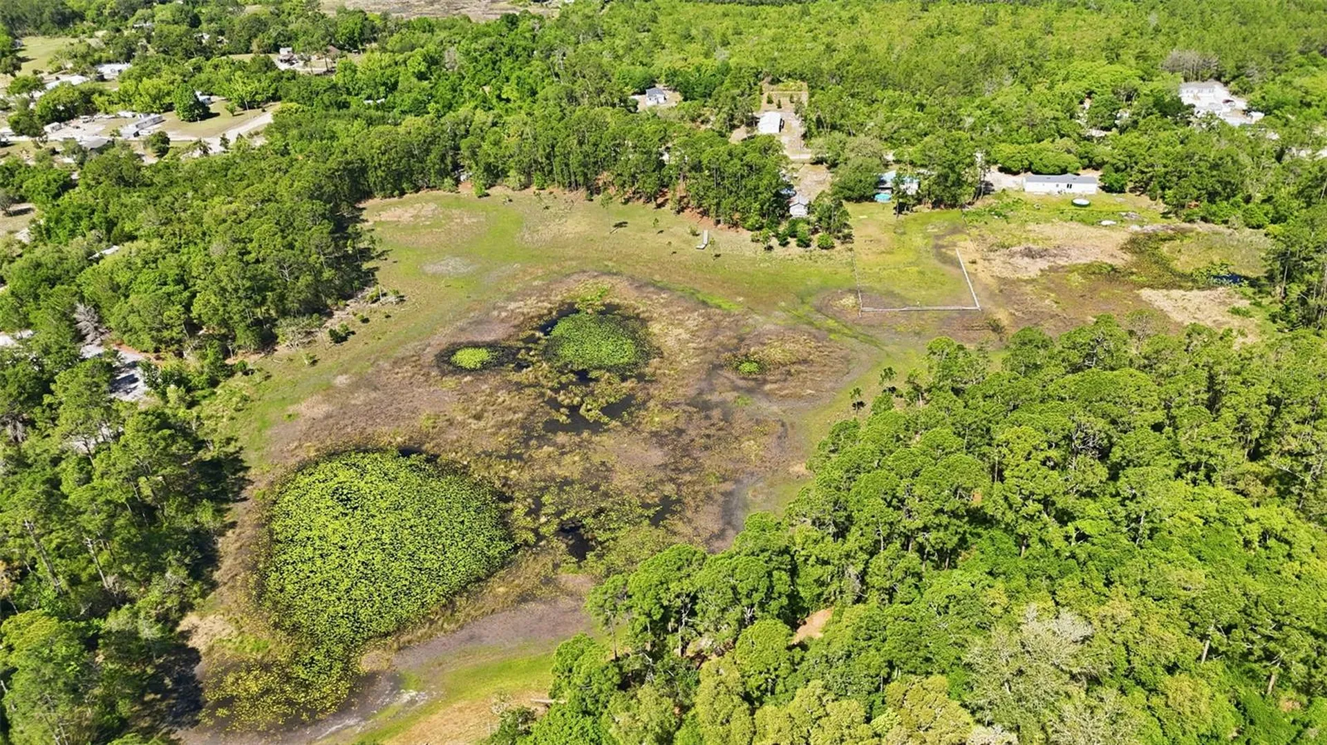 Tbd Holly Branch Road Eustis FL 32736