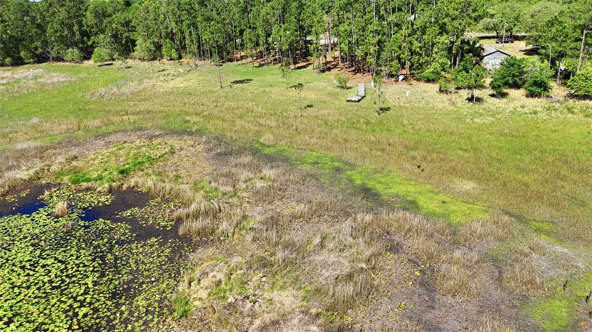 Tbd Holly Branch Road Eustis FL 32736