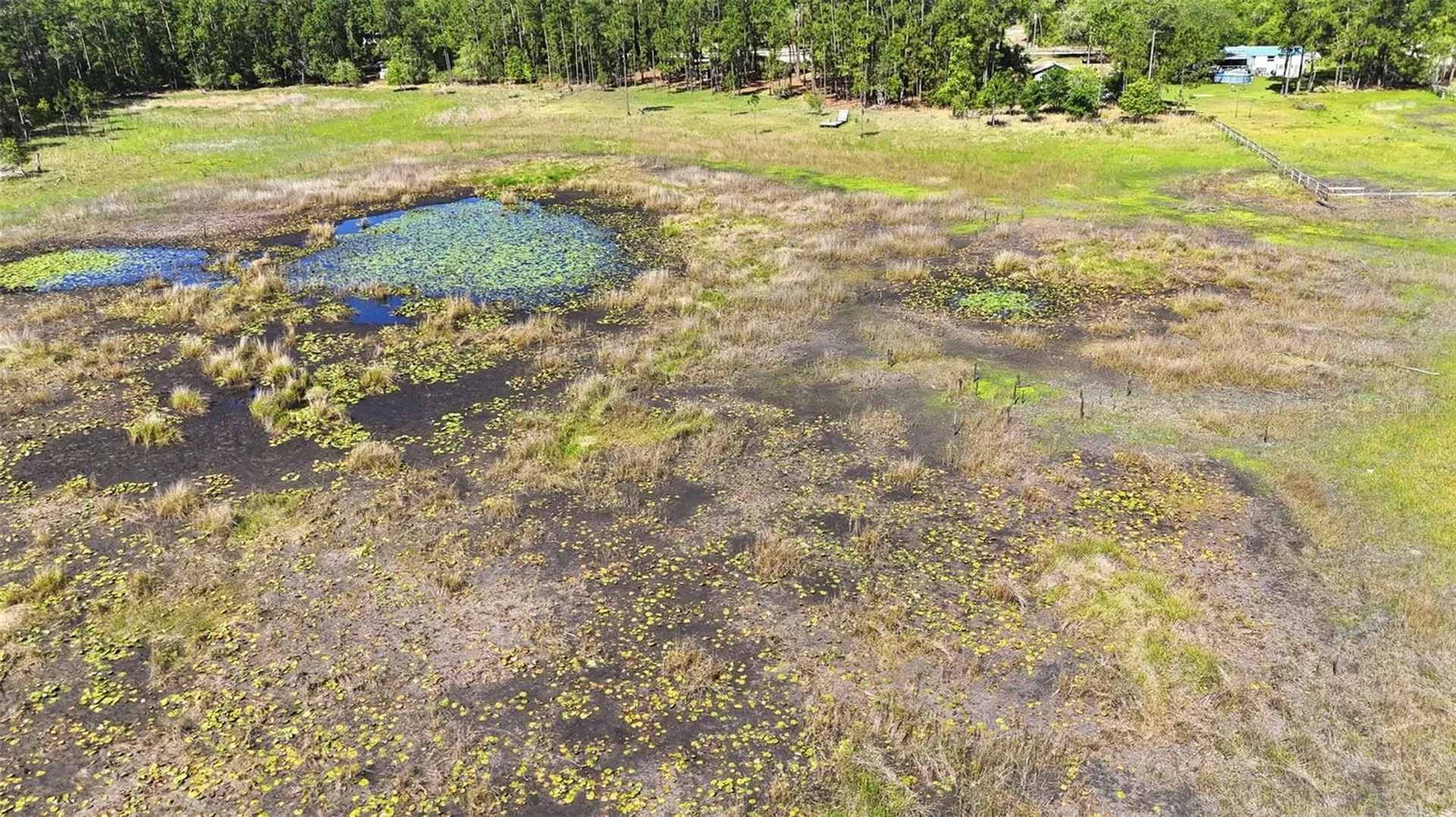 Tbd Holly Branch Road Eustis FL 32736