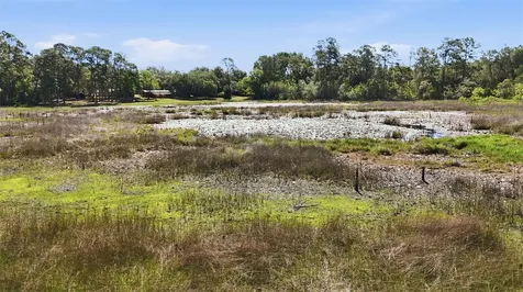 Tbd Holly Branch Road Eustis FL 32736