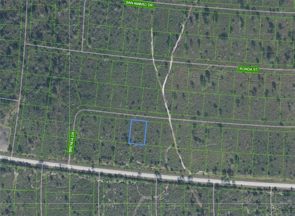 8119 Brenda Drive Sebring FL 33872