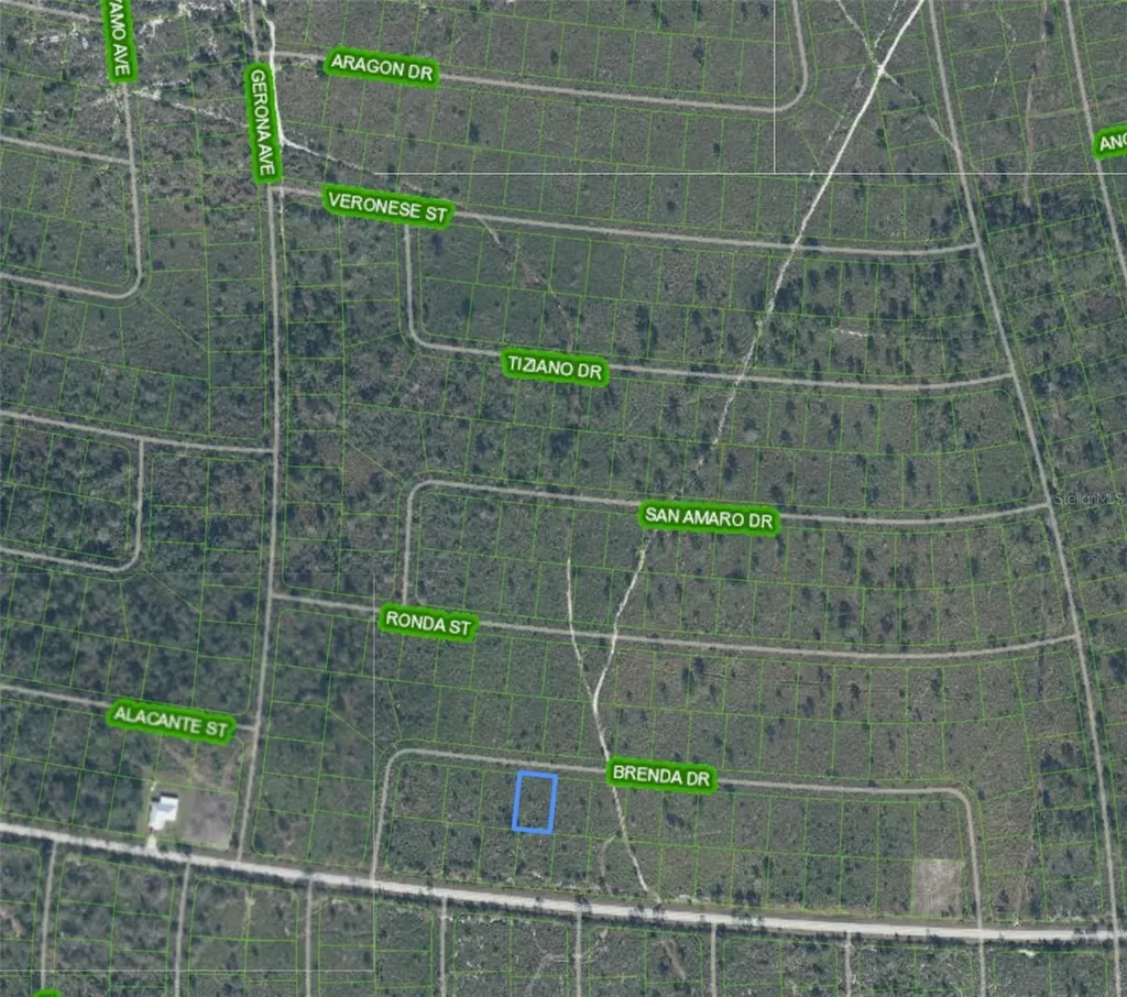 8119 Brenda Drive Sebring FL 33872
