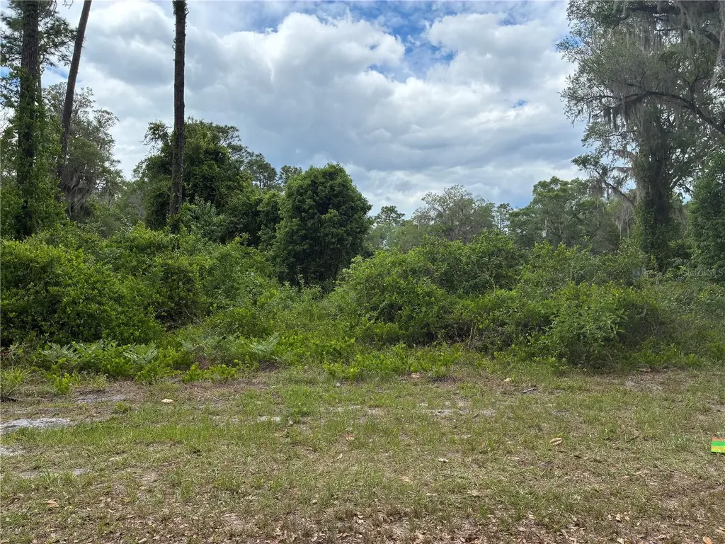 00 SE 87 Street Ocklawaha FL 32179