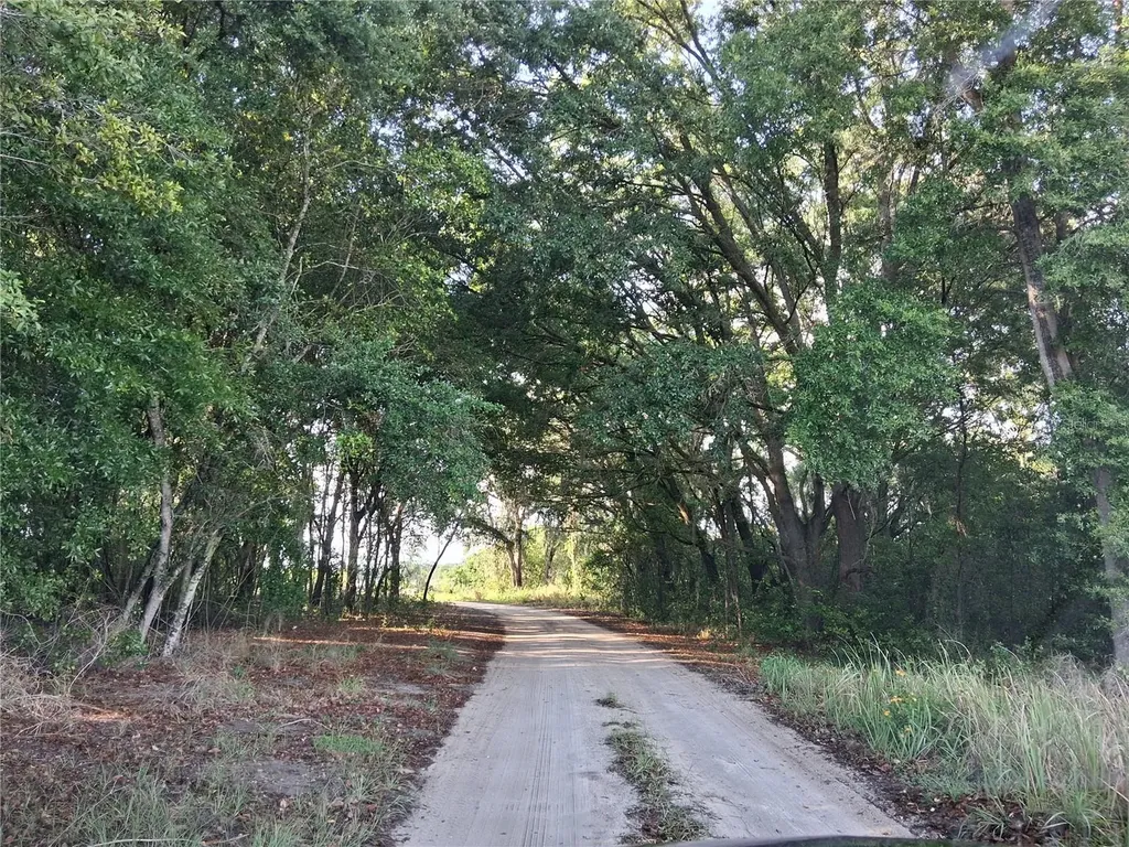 16451 Forrest Lane Groveland FL 34736
