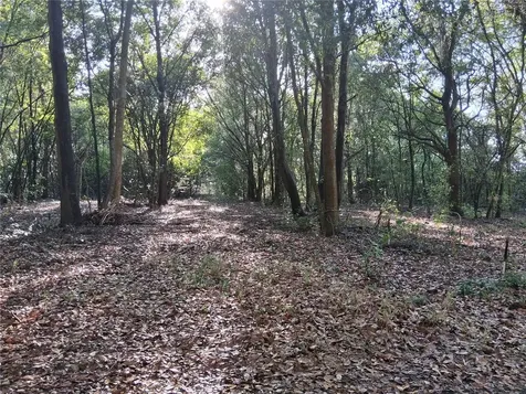 16451 Forrest Lane Groveland FL 34736