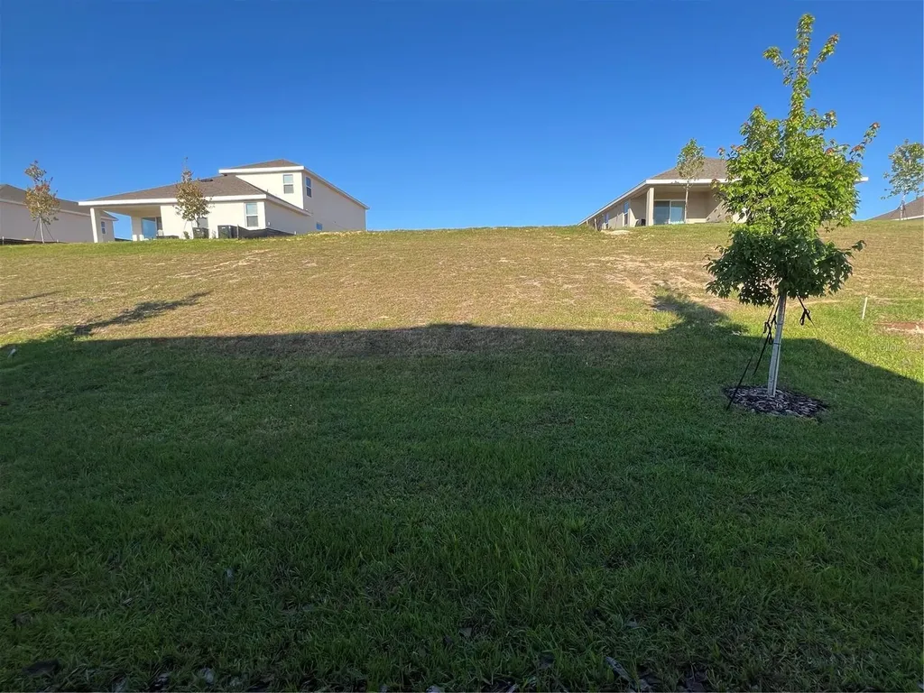 1703 Cadence Street Minneola FL 34715