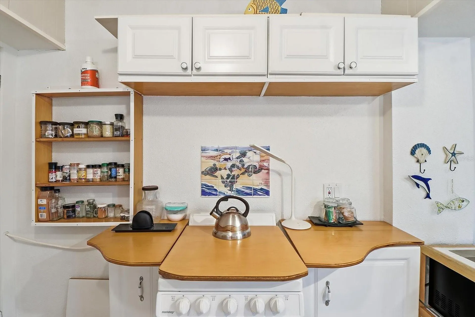 8896 W White Dogwood Drive Homosassa FL 34448