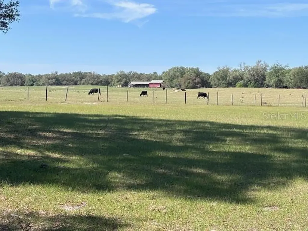 10250 NW 67th Place Chiefland FL 32626