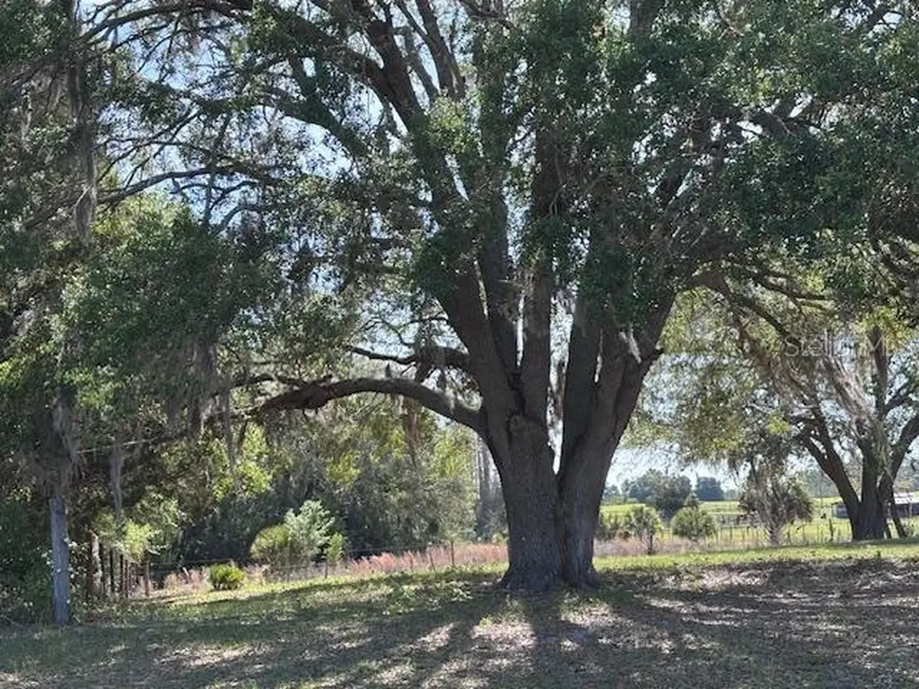 10250 NW 67th Place Chiefland FL 32626