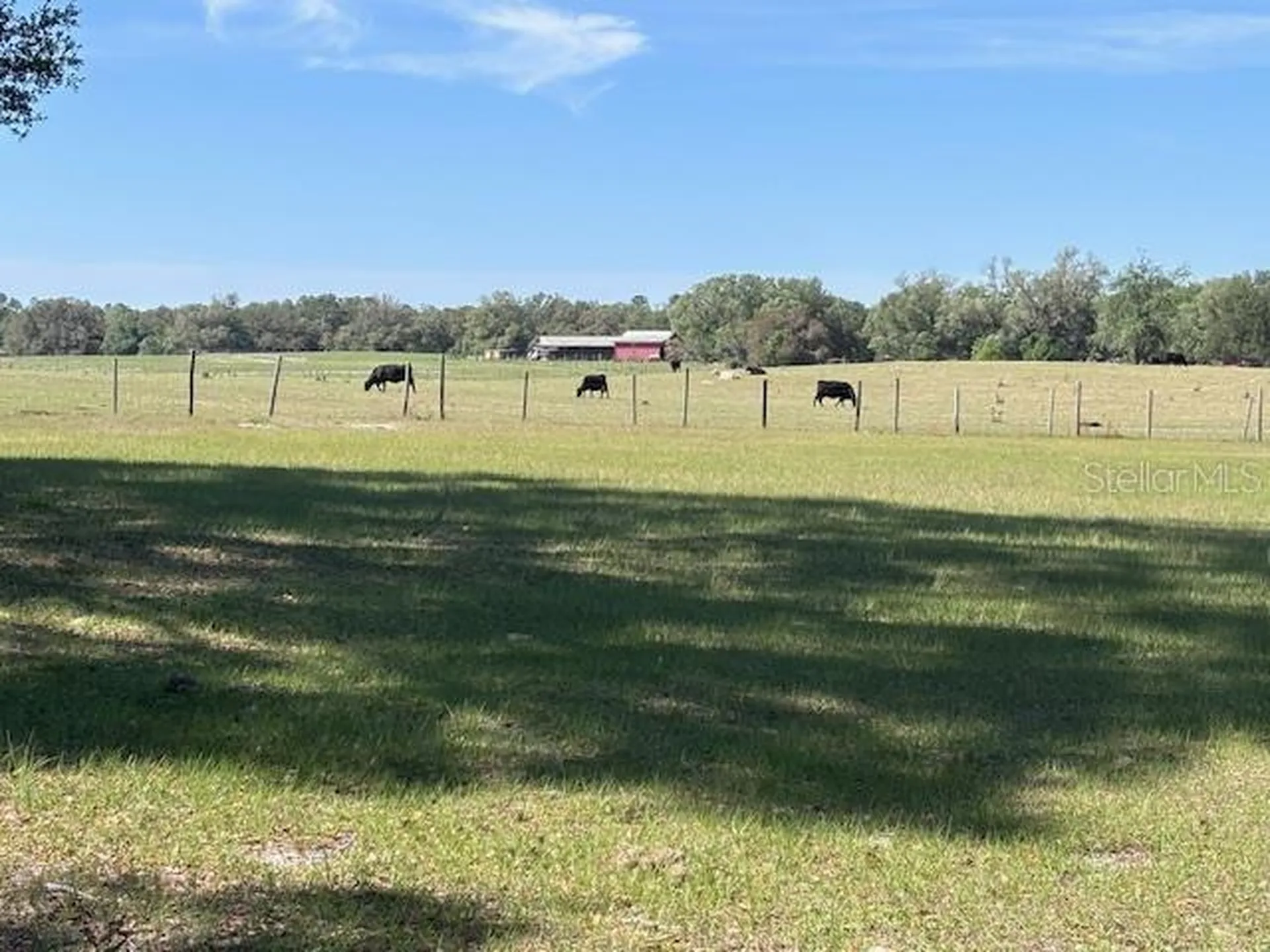 10250 NW 67th Place Chiefland FL 32626
