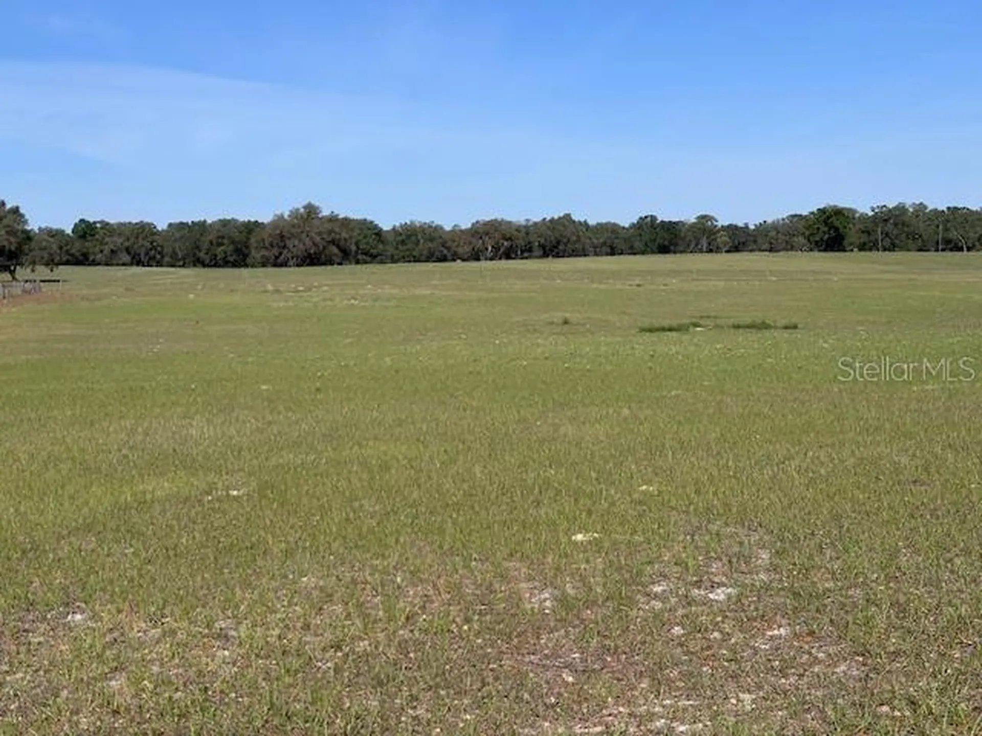 10250 NW 67th Place Chiefland FL 32626