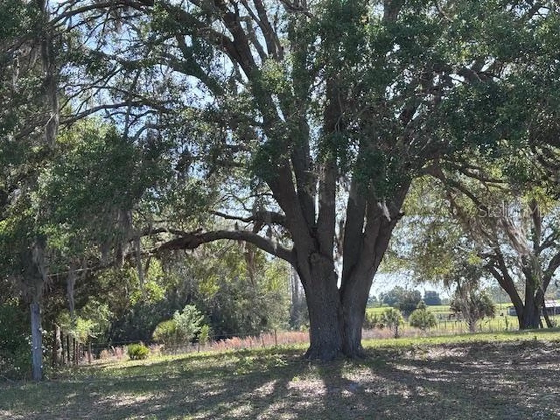 10250 NW 67th Place Chiefland FL 32626