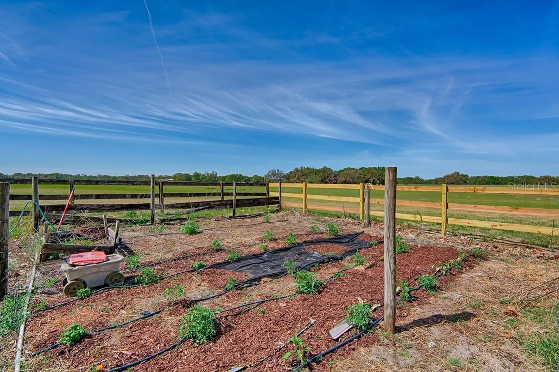 10250 NW 67th Place Chiefland FL 32626