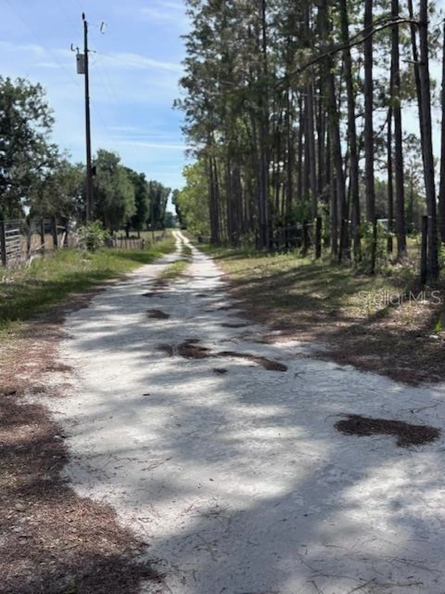 10250 NW 67th Place Chiefland FL 32626