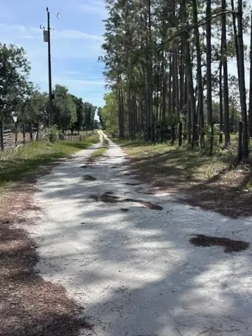10250 NW 67th Place Chiefland FL 32626
