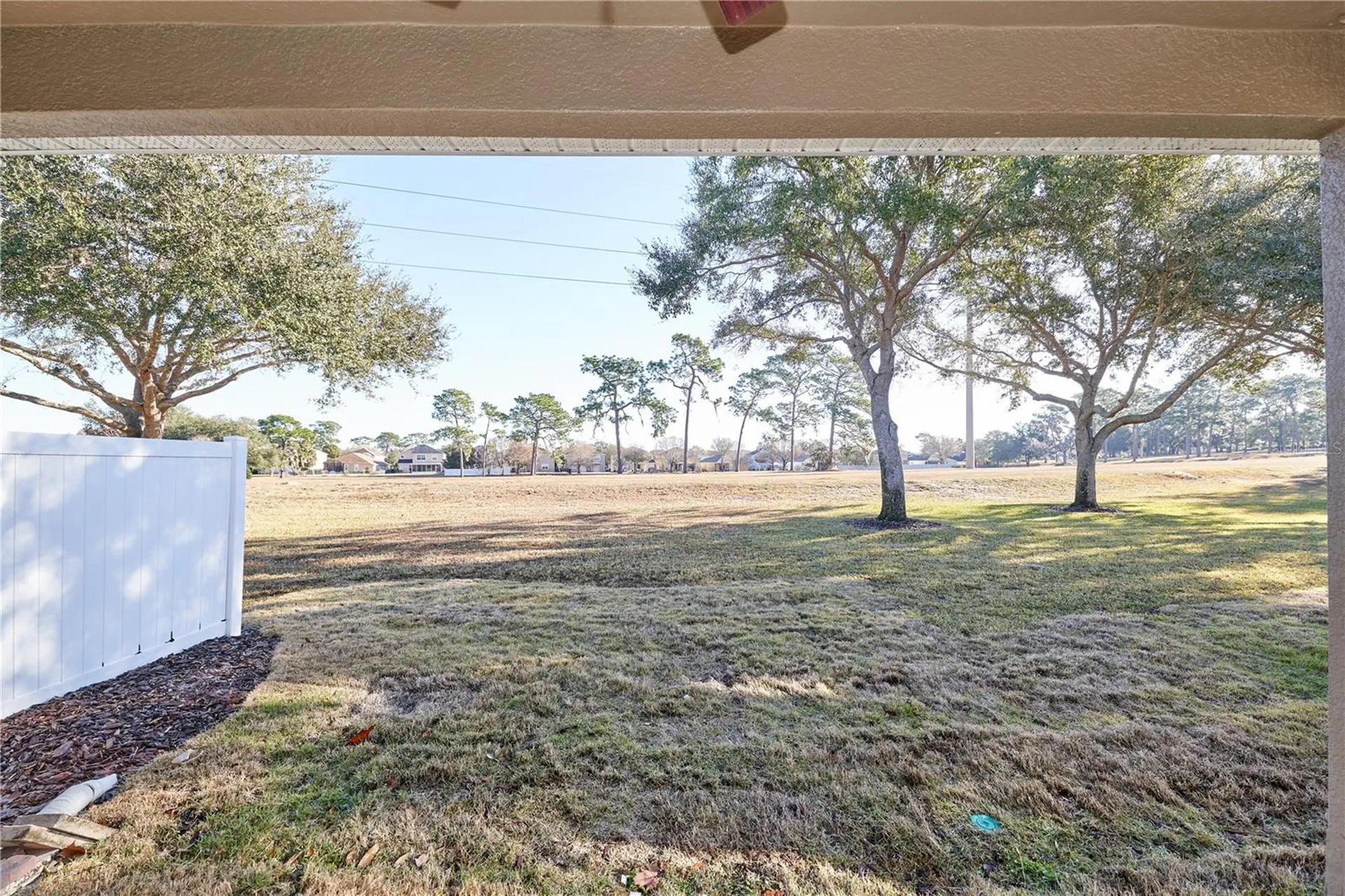 23903 Sardinia Drive Sorrento FL 32776