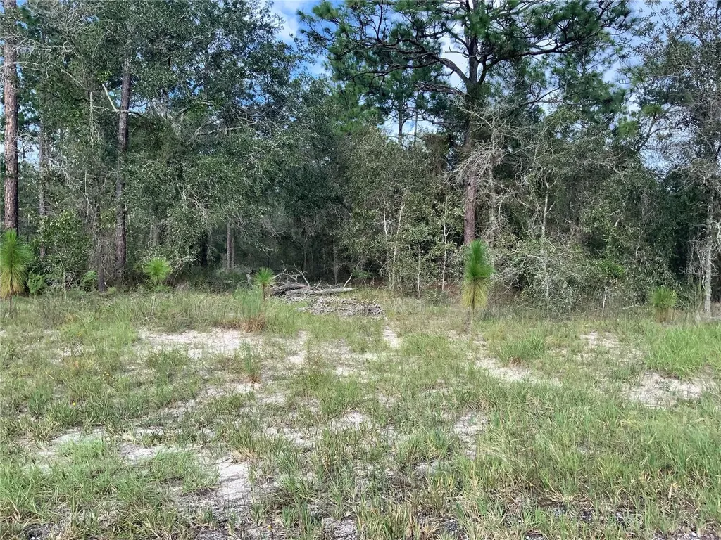 00 SE 139th Lot 23 Terrace Morriston FL 32668
