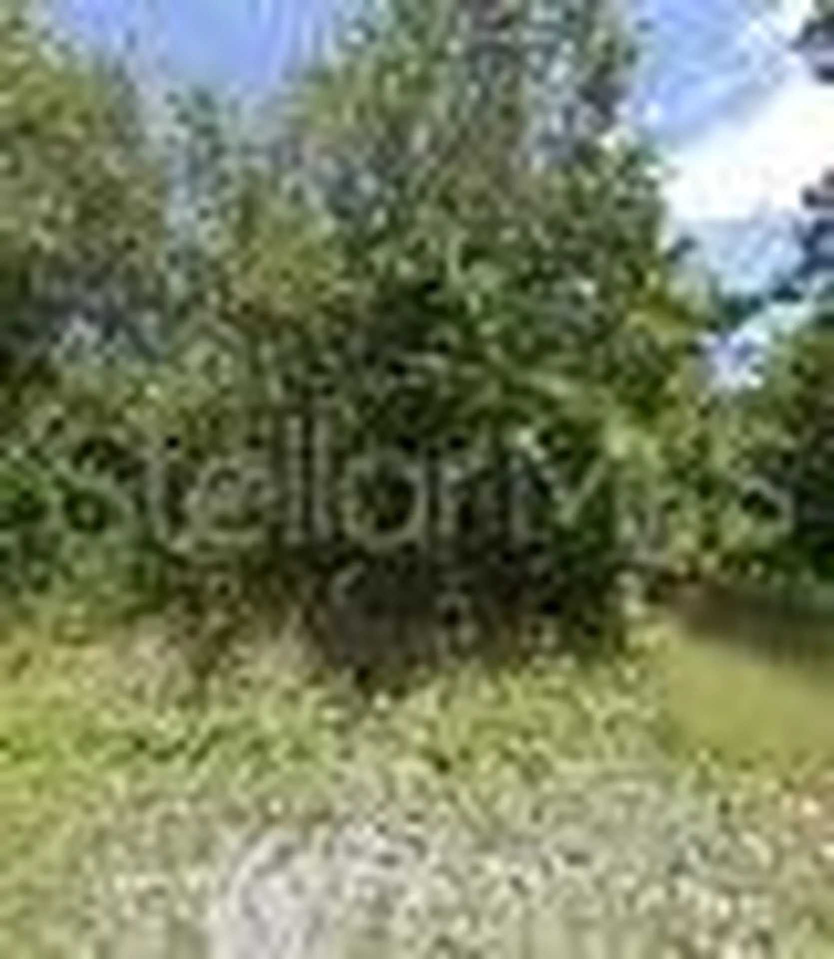 245 N Romero Street Clewiston FL 33440