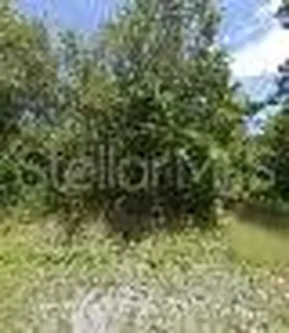 245 N Romero Street Clewiston FL 33440