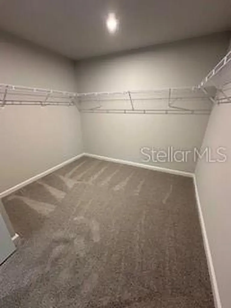 3490 Timber Crossing Avenue Brandon FL 33511