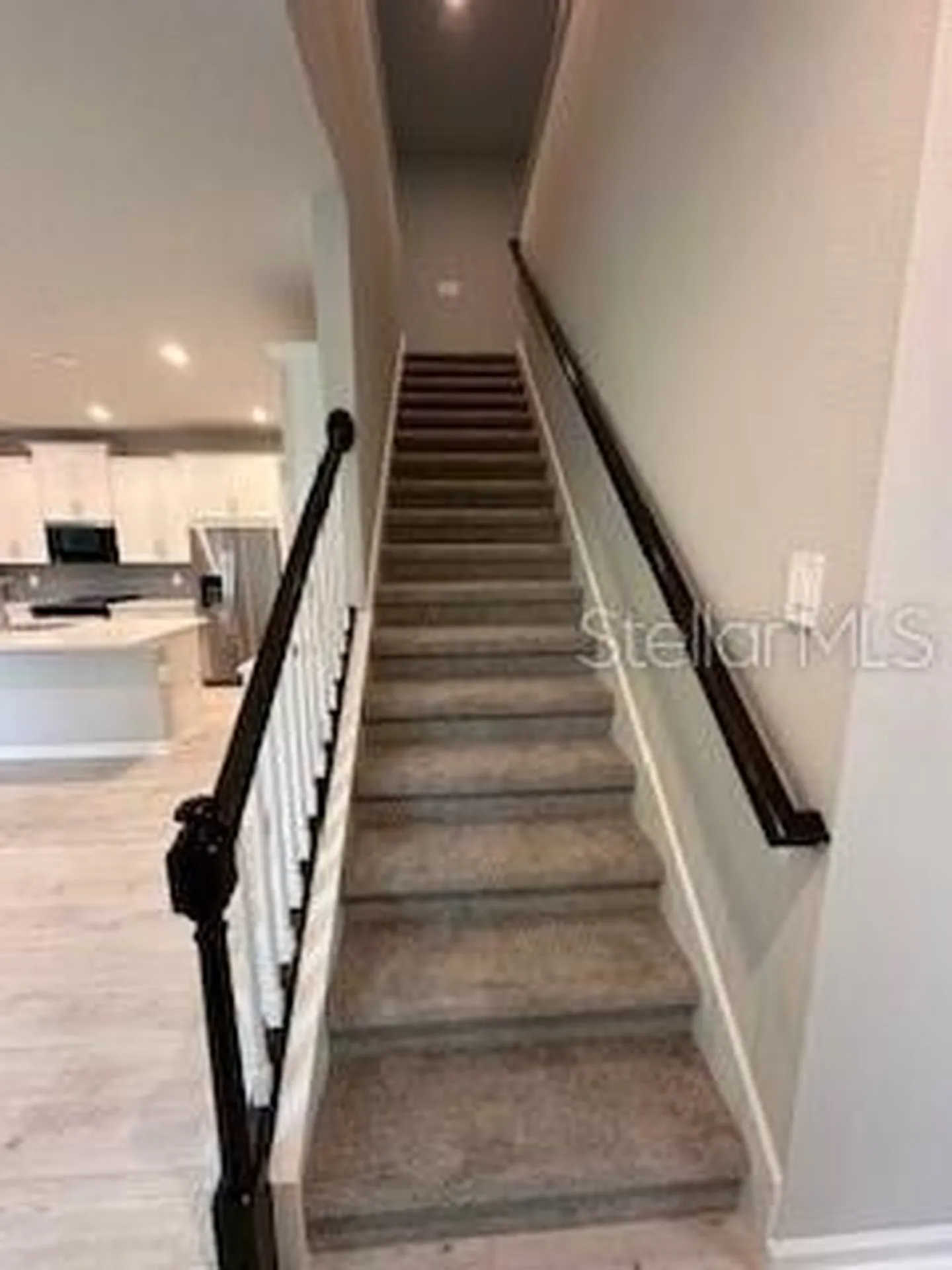3490 Timber Crossing Avenue Brandon FL 33511