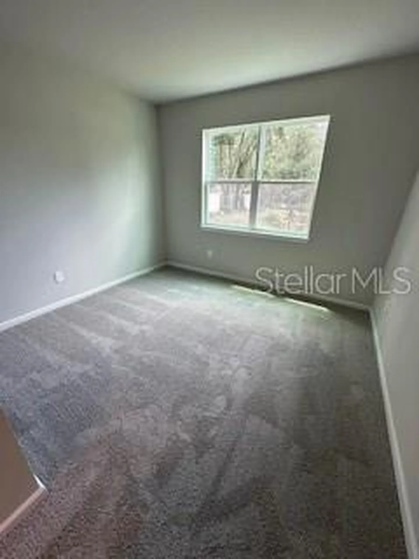 3490 Timber Crossing Avenue Brandon FL 33511