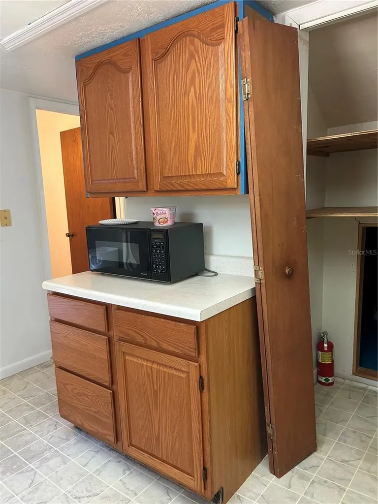 11051 SE 40th Street Morriston FL 32668