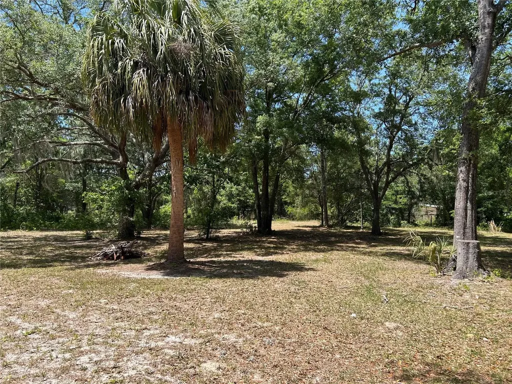 11051 SE 40th Street Morriston FL 32668