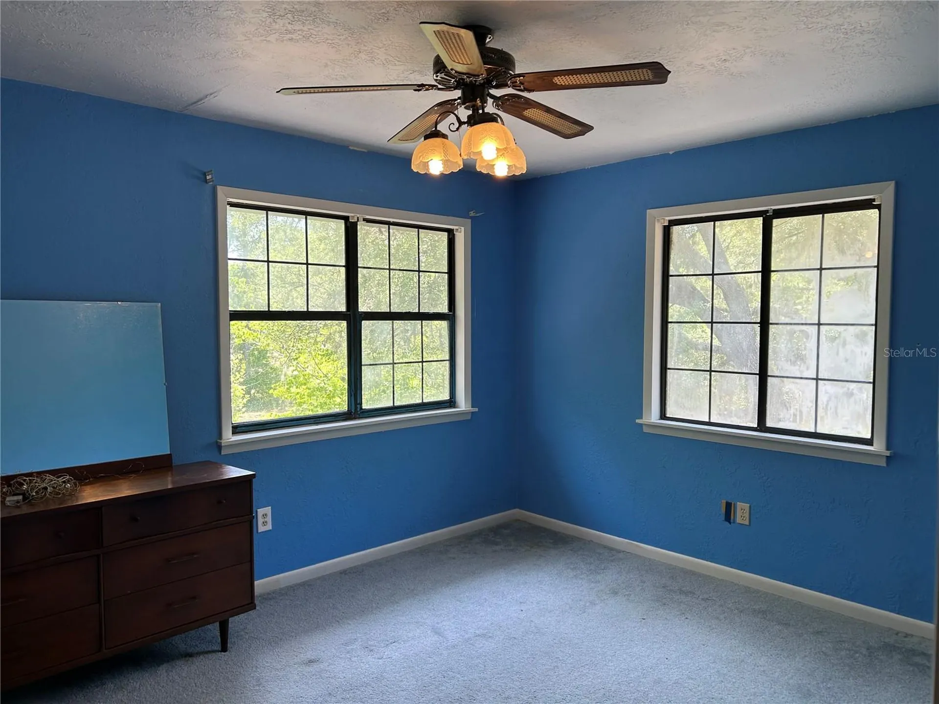 11051 SE 40th Street Morriston FL 32668