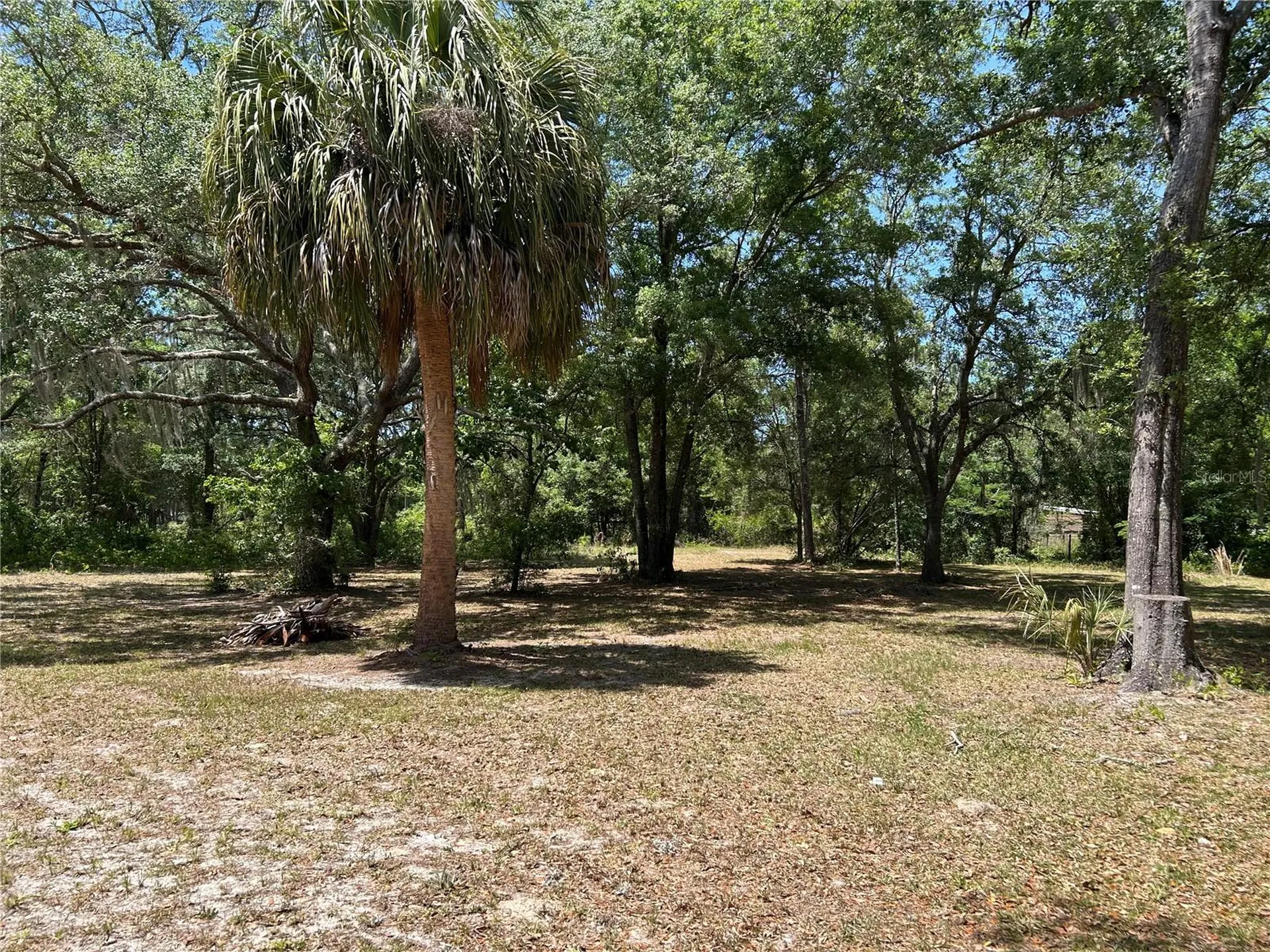 11051 SE 40th Street Morriston FL 32668