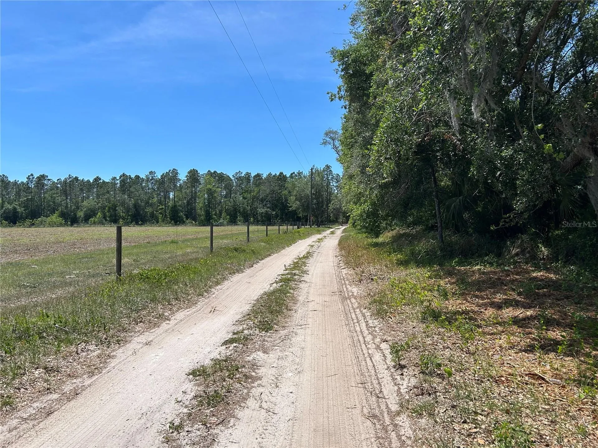 11051 SE 40th Street Morriston FL 32668