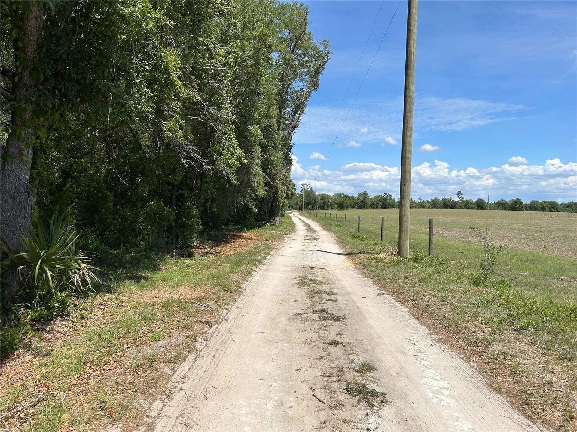 11051 SE 40th Street Morriston FL 32668