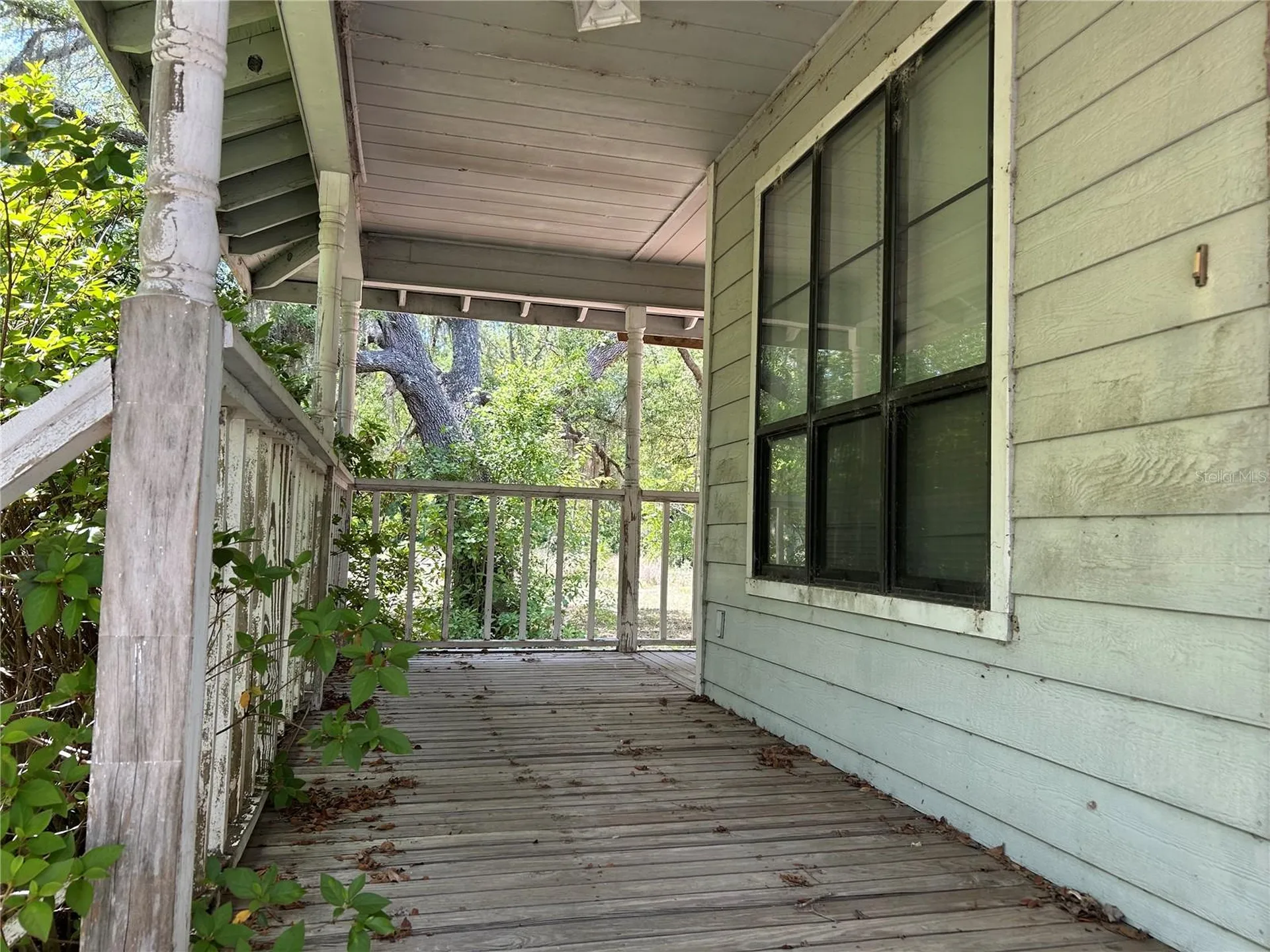 11051 SE 40th Street Morriston FL 32668