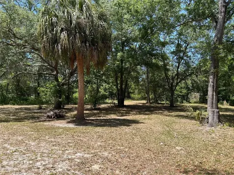 11051 SE 40th Street Morriston FL 32668