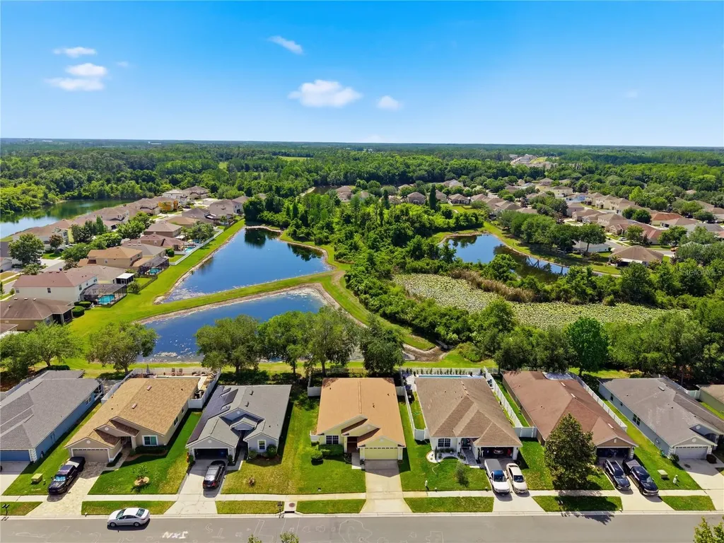 9551 Jaybird Lane Land O Lakes FL 34638