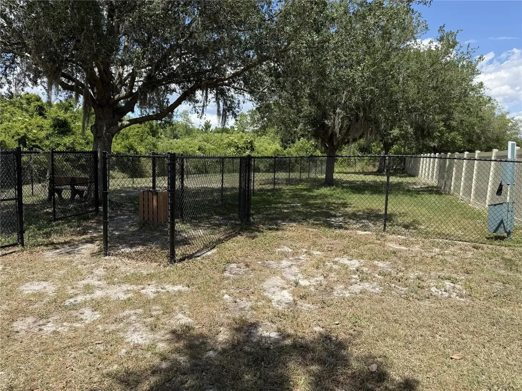 9551 Jaybird Lane Land O Lakes FL 34638